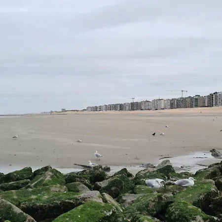 Seahouse 102 Newly Built In Apartment Koksijde